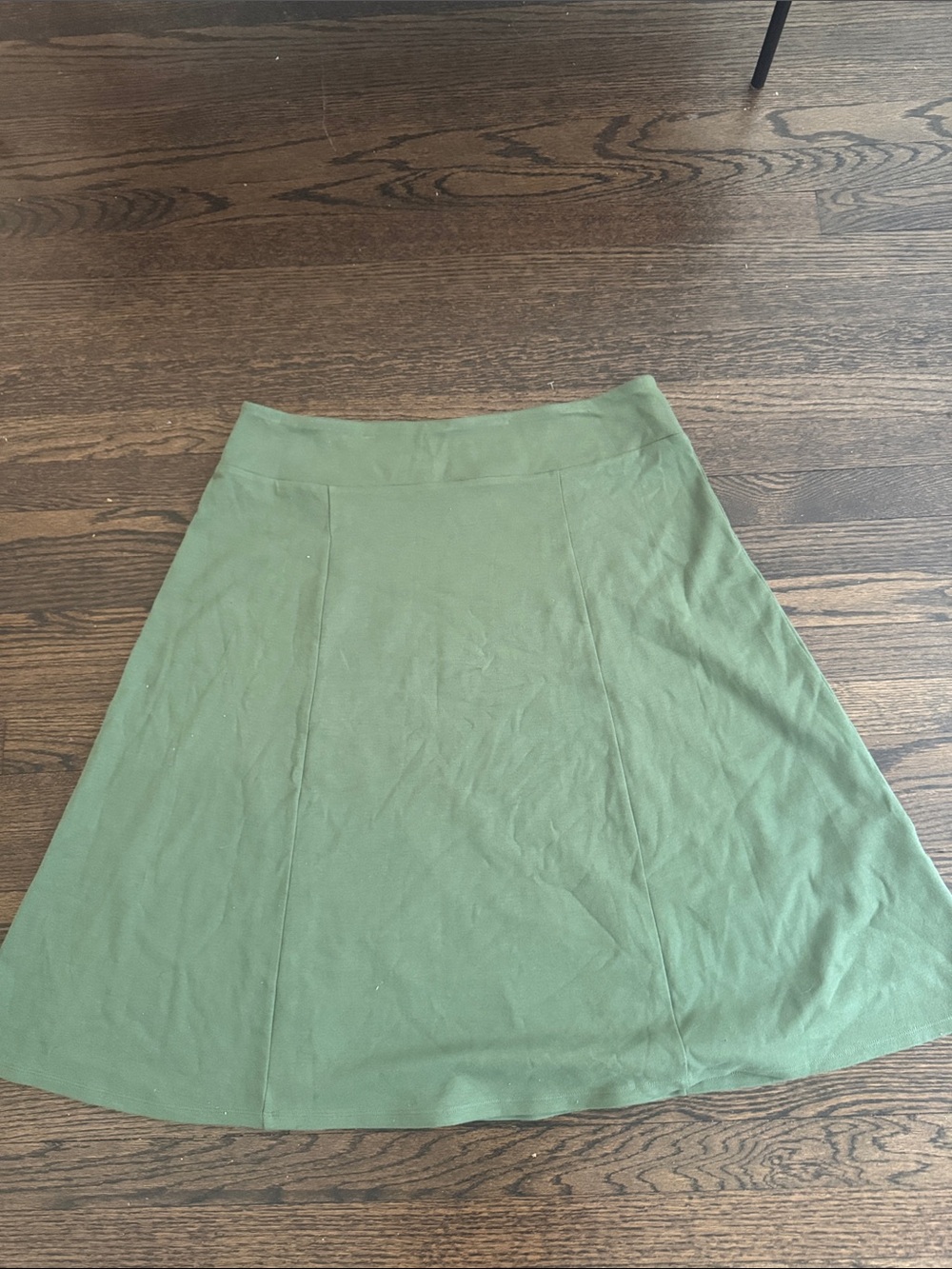 Appleseed's Petite Sage Green A-Line Skirt Size pXL